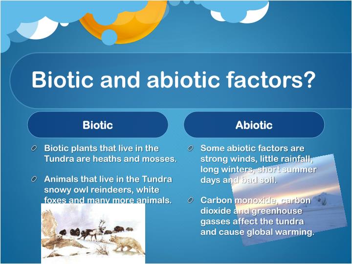 PPT The Tundra PowerPoint Presentation ID1837621