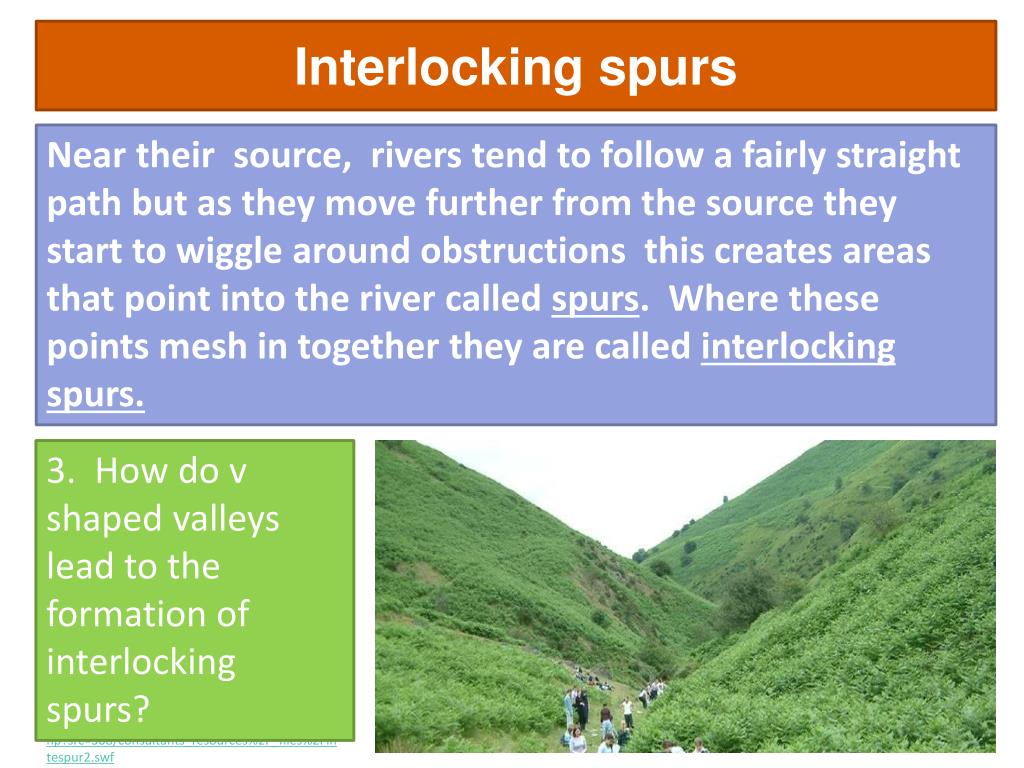 PPT What are the following? PowerPoint Presentation, free download
