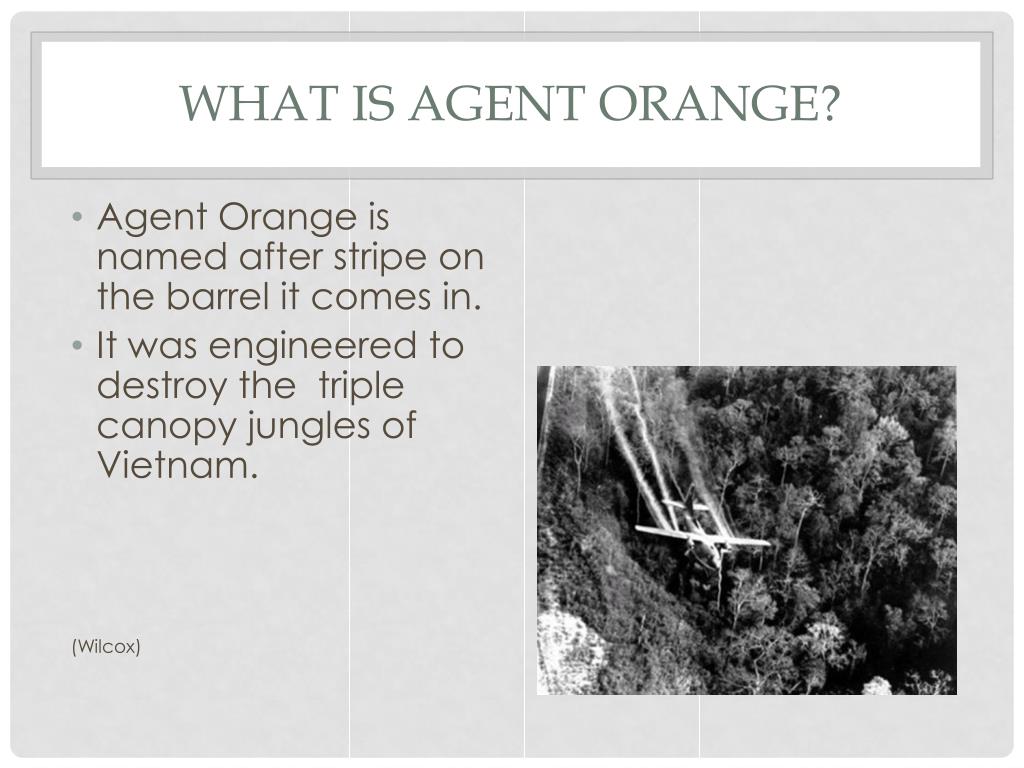 PPT agent orange and the diseases it causes PowerPoint Presentation