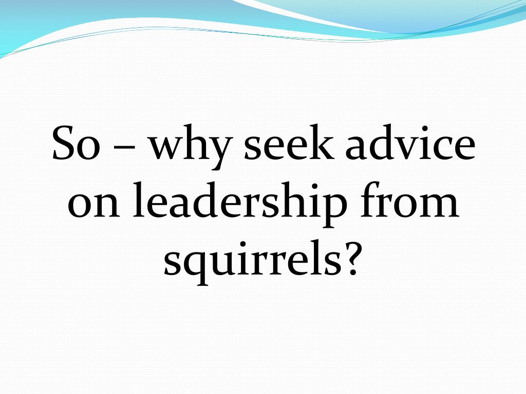 PPT Leadership is a verb not a noun PowerPoint Presentation, free