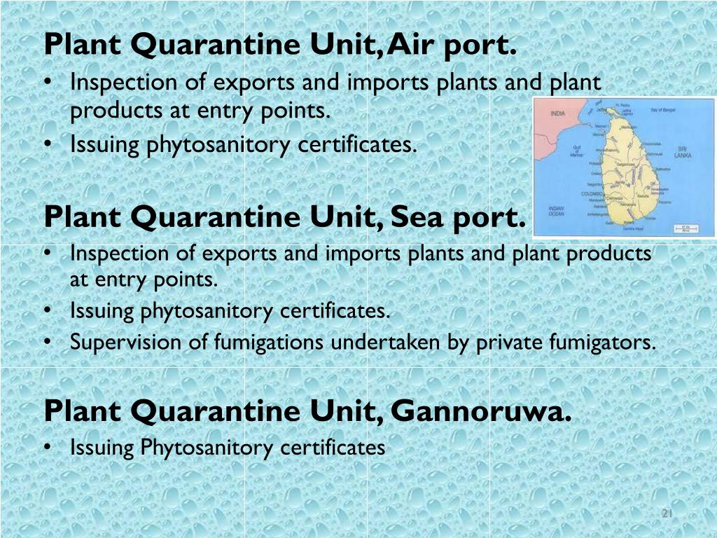 PPT PLANT QUARANTINE MEASURES PowerPoint Presentation, free download