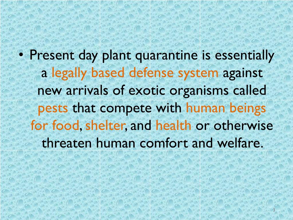 PPT PLANT QUARANTINE MEASURES PowerPoint Presentation, free download