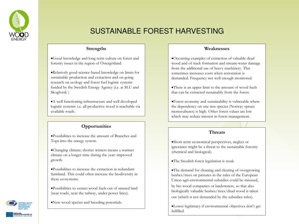 PPT Wood Energy and Cleantech SWOT analysis, Östergötland
