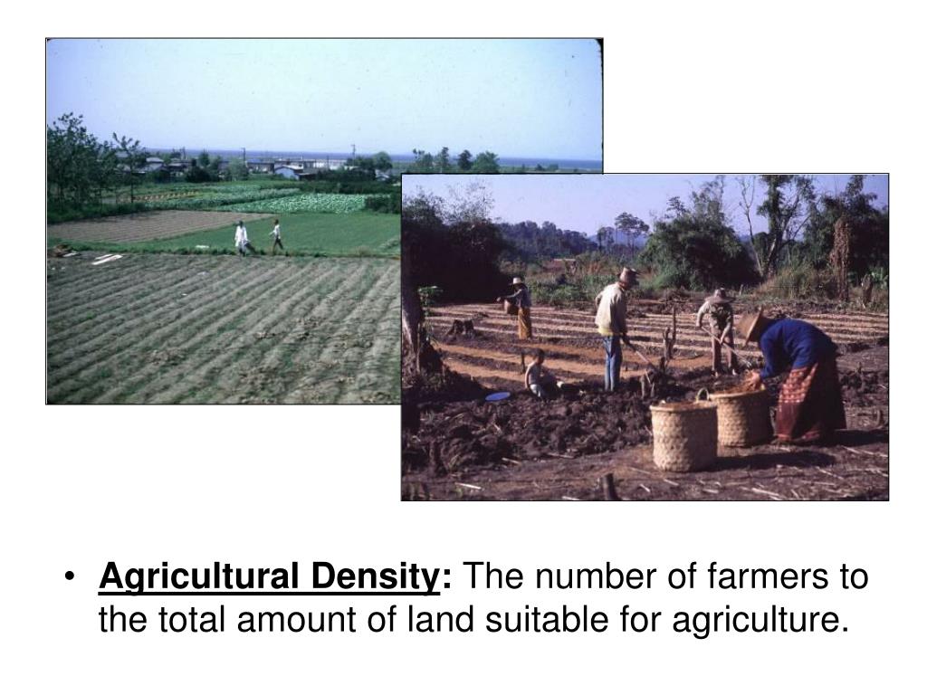 PPT APHG U2 Population Density PowerPoint Presentation, free download