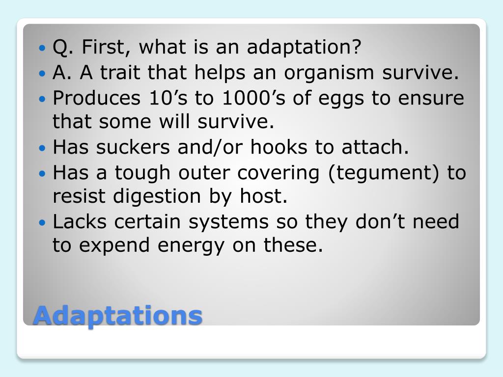 PPT Platyhelminthes PowerPoint Presentation, free download ID1857301