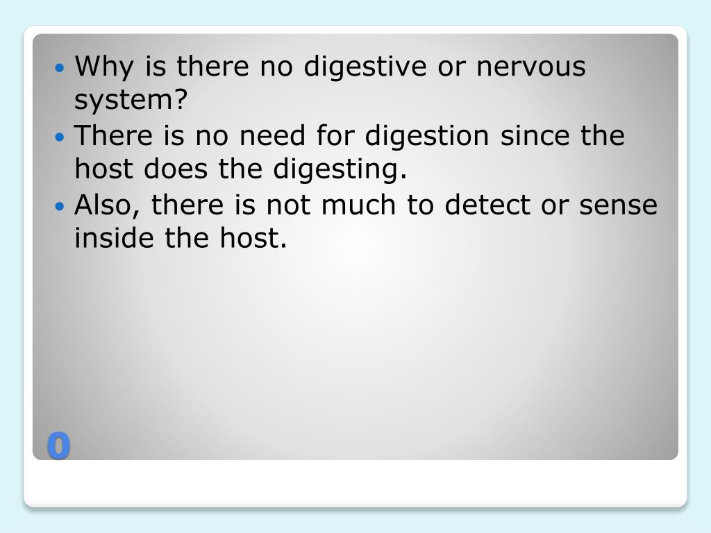 PPT Platyhelminthes PowerPoint Presentation, free download ID1857301