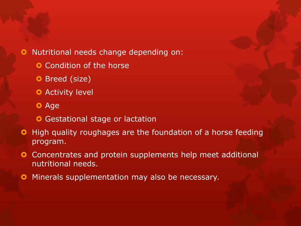 PPT Equine Nutrition PowerPoint Presentation, free download ID1863033