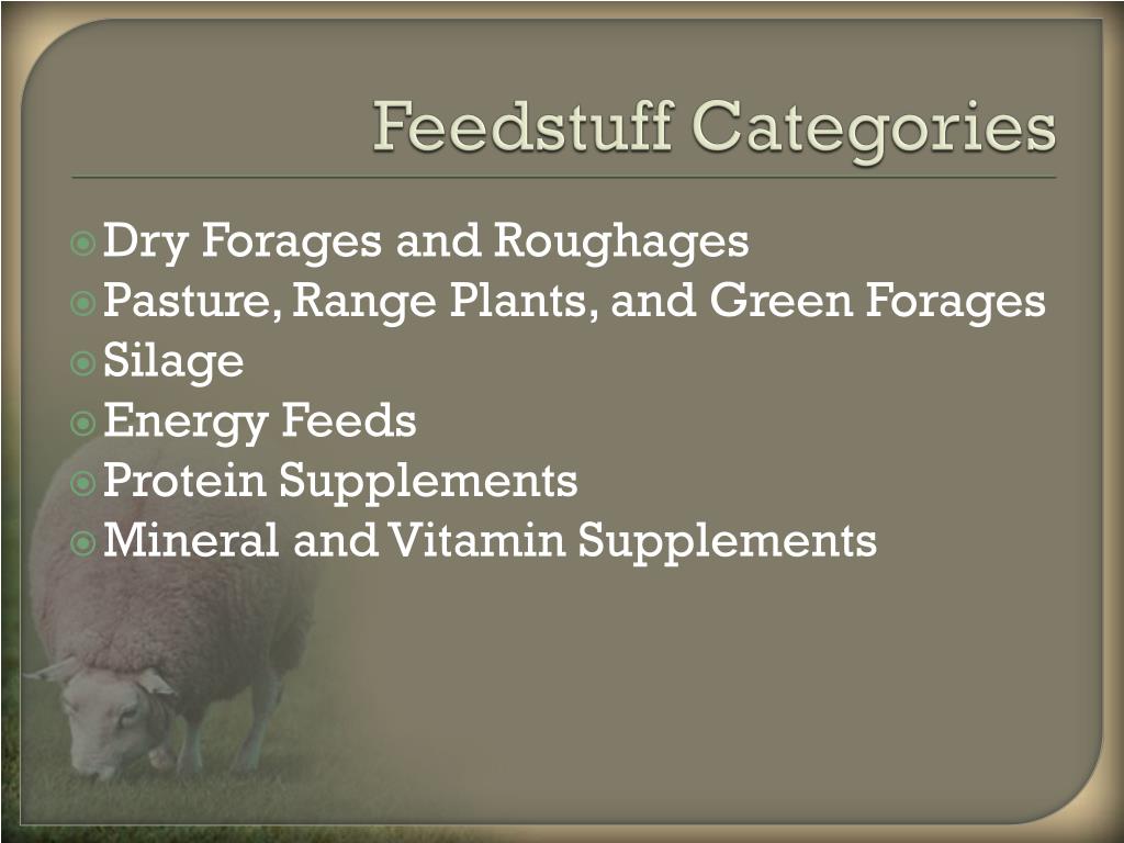 PPT Feedstuff Classification PowerPoint Presentation, free download