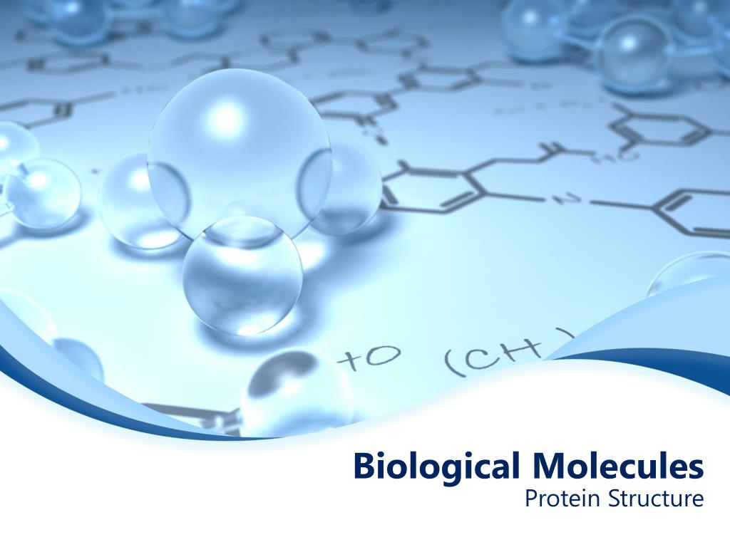 PPT Biological Molecules PowerPoint Presentation, free download ID