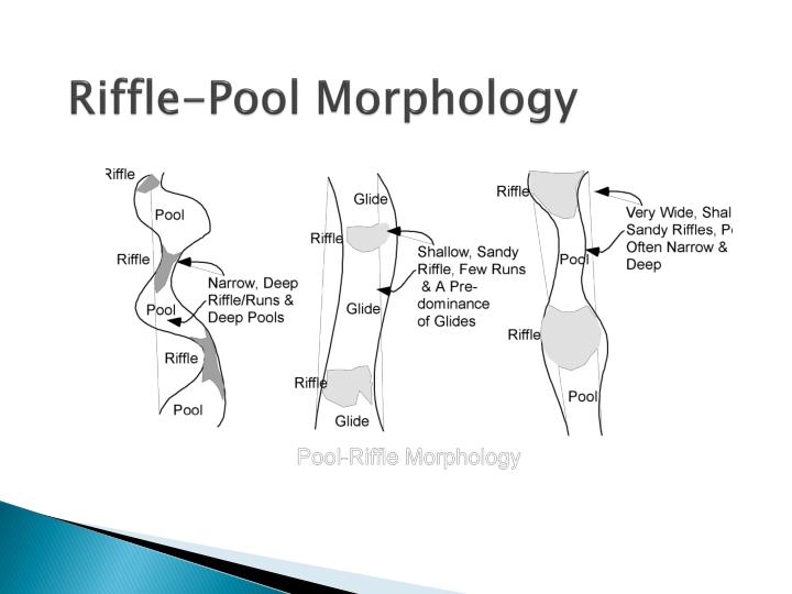 PPT Poor/Glide and Riffle/Run PowerPoint Presentation ID1866339