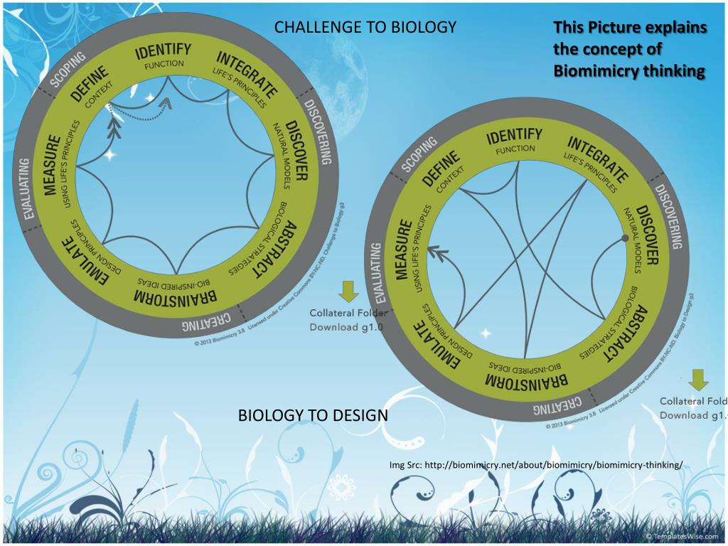 PPT BIOMIMETIC ARCHITECT (Innovative design strategies for