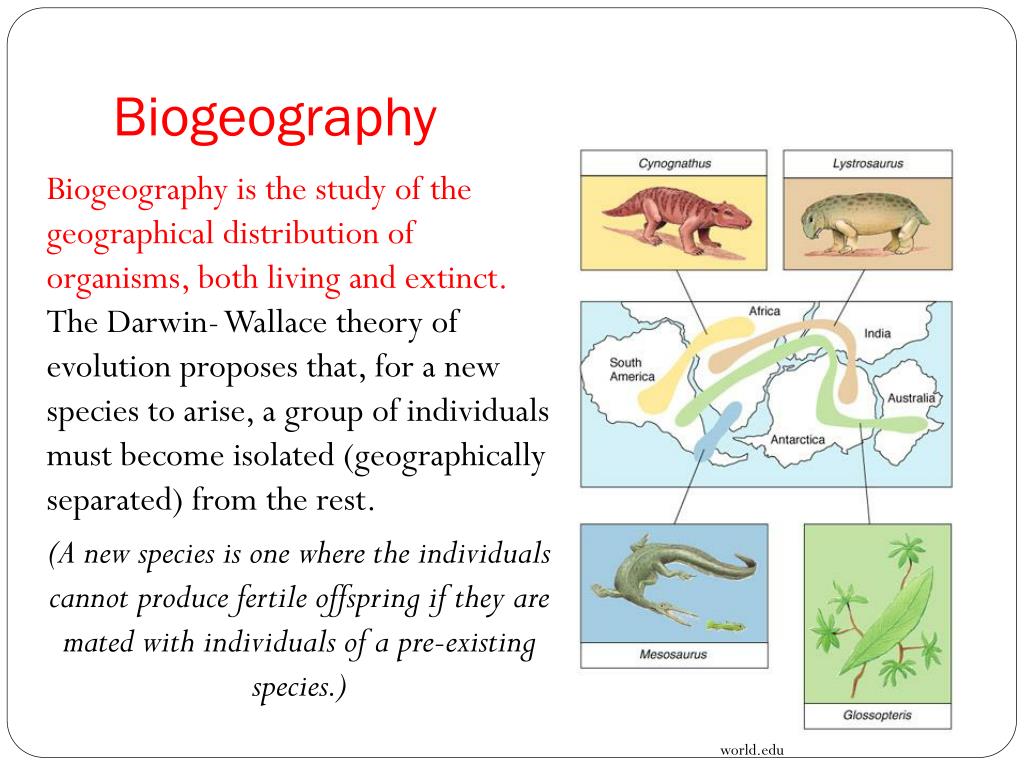 PPT Biology in Focus, HSC Course Glenda Childrawi , Margaret Robson