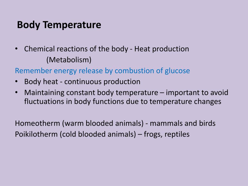 PPT Body Temperature and Heat Regulation PowerPoint Presentation