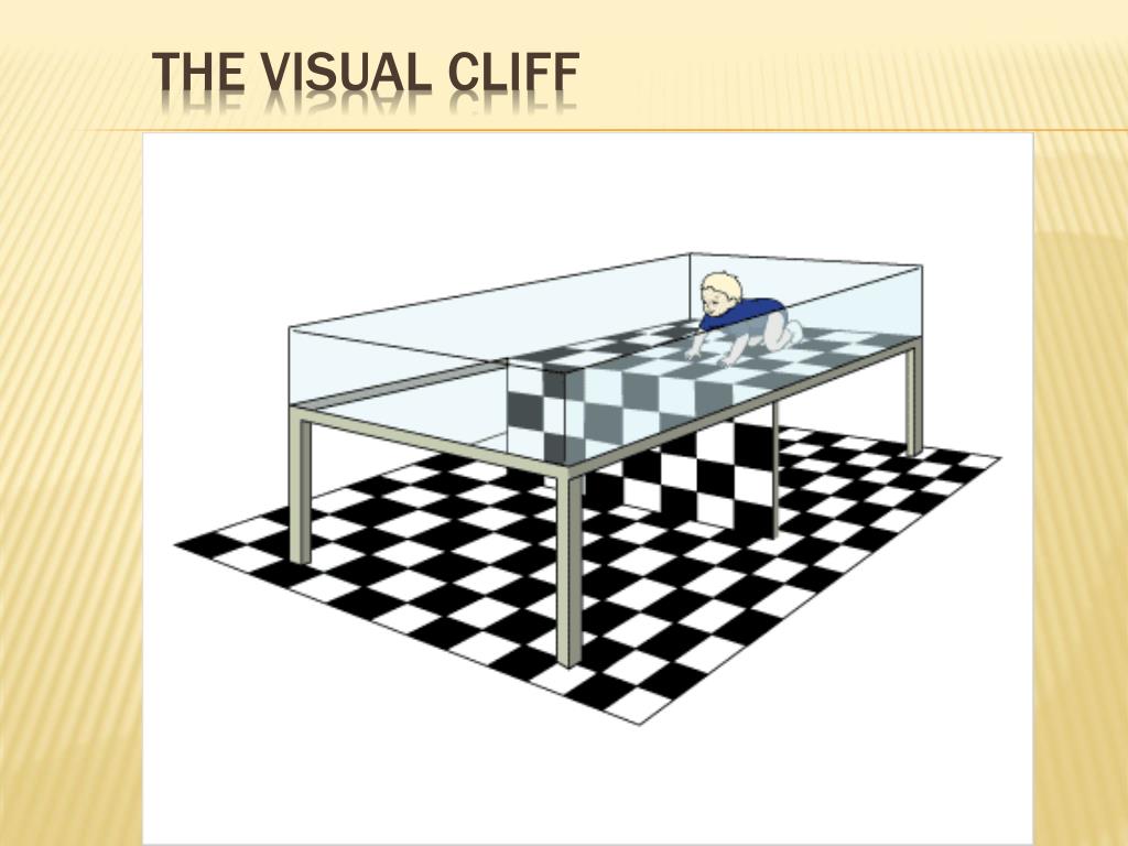 PPT BRAIN & PERCEPTUAL DEVELOPMENT PowerPoint Presentation, free