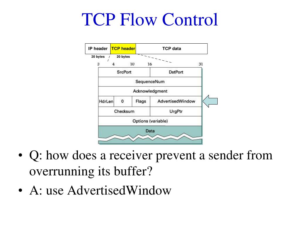 PPT CS 356 Introduction to Computer Networks Lecture 16 Transmission Control Protocol (TCP