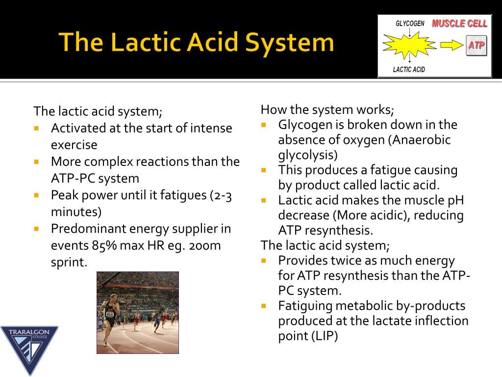 PPT Aerobic and anaerobic pathways an introduction to the energy
