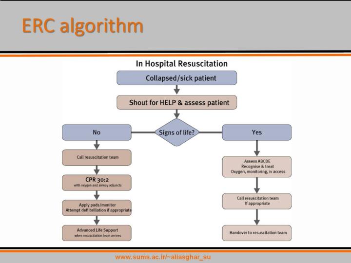 PPT Based on European Resuscitation Council Guidelines for