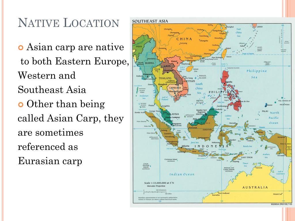 Asian Carp Map Europe PPT Asian Carp PowerPoint Presentation, free download ID1873001