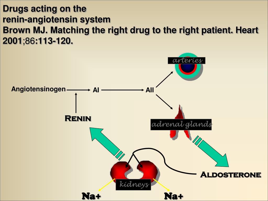 PPT Drugs Affecting the Cardiovascular System PowerPoint Presentation ID1877421
