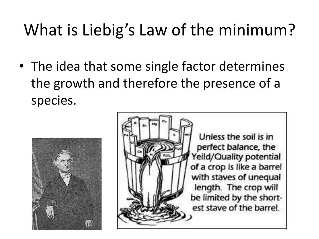 PPT Soil Composition PowerPoint Presentation, free download ID1881467