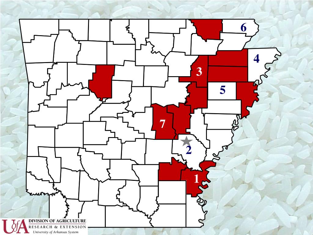 PPT Arkansas Rice Production PowerPoint Presentation, free download
