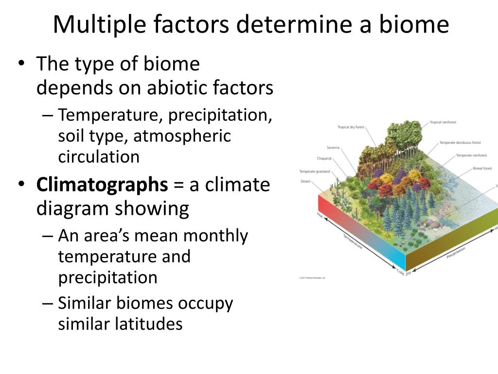 PPT Succession and restoration ecology PowerPoint Presentation, free