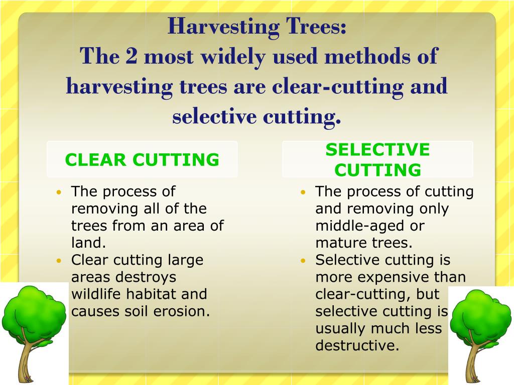 PPT LAND PowerPoint Presentation, free download ID1892604