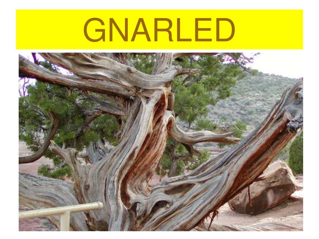 PPT VOCABULARY UNIT 9 Level E PowerPoint Presentation, free download