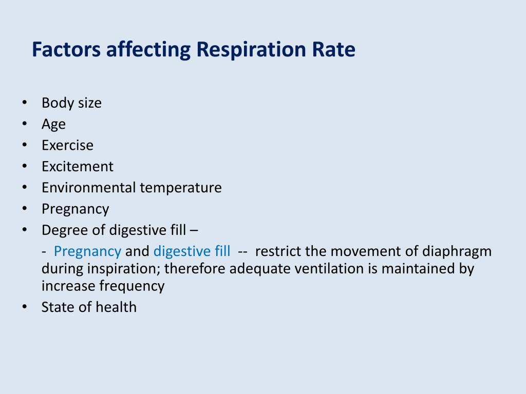 PPT L8 Respiratory System PowerPoint Presentation, free download