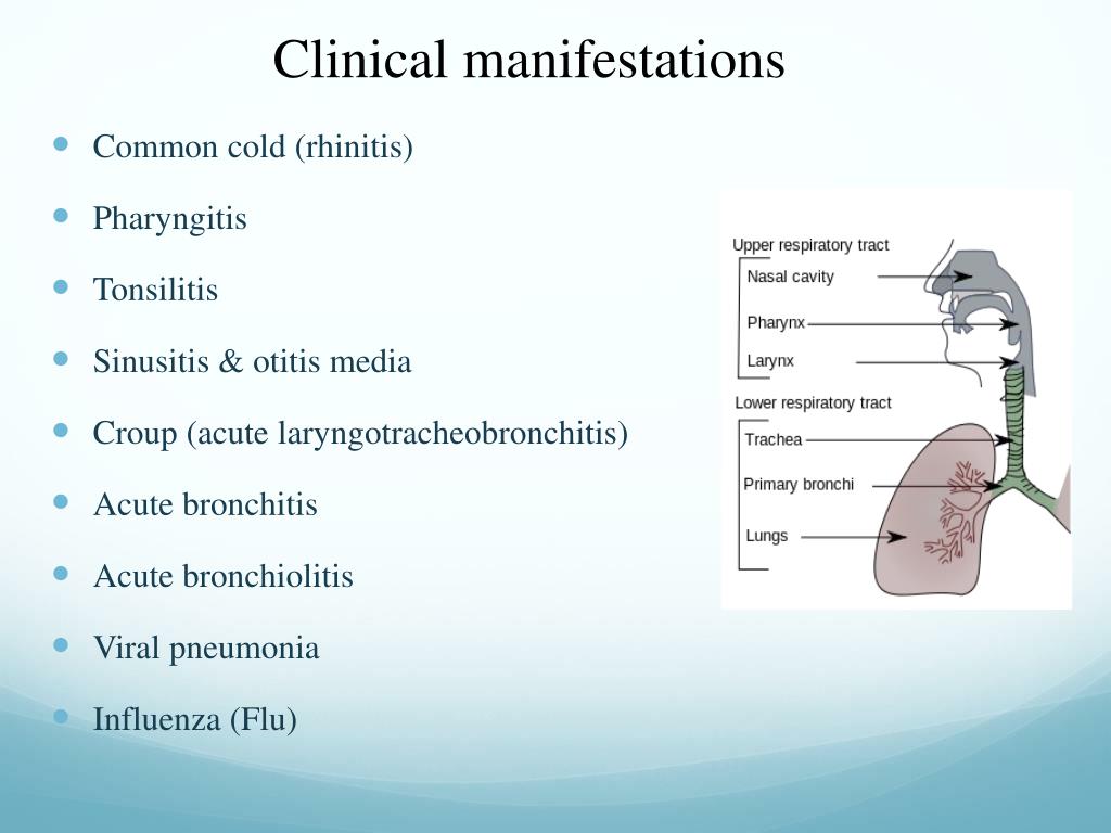 PPT Viral Infections of the Respiratory System PowerPoint