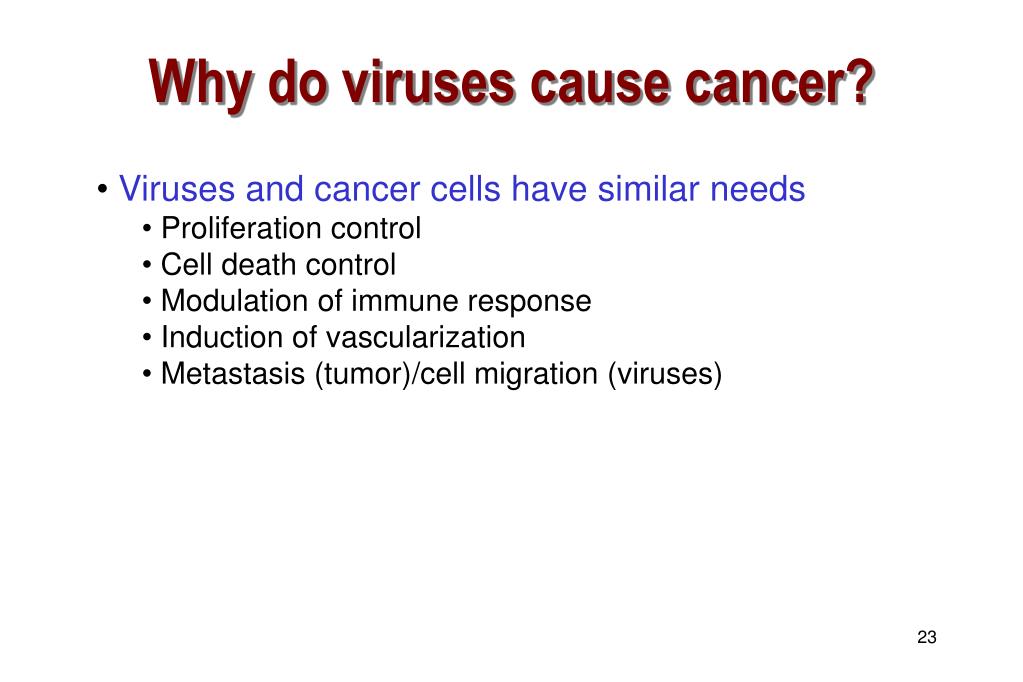 PPT Viruses and Cancer PowerPoint Presentation, free download ID