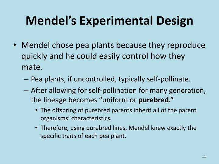 😝 Why mendel chose pea plant. What are three reasons