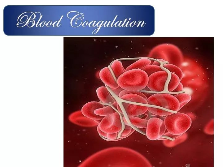 PPT Blood Coagulation PowerPoint Presentation, free download ID1895923