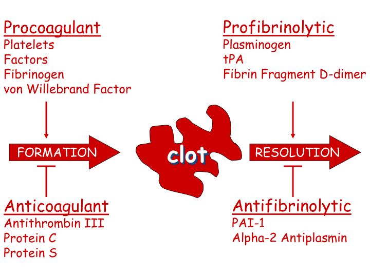 PPT Blood Coagulation PowerPoint Presentation ID1895923