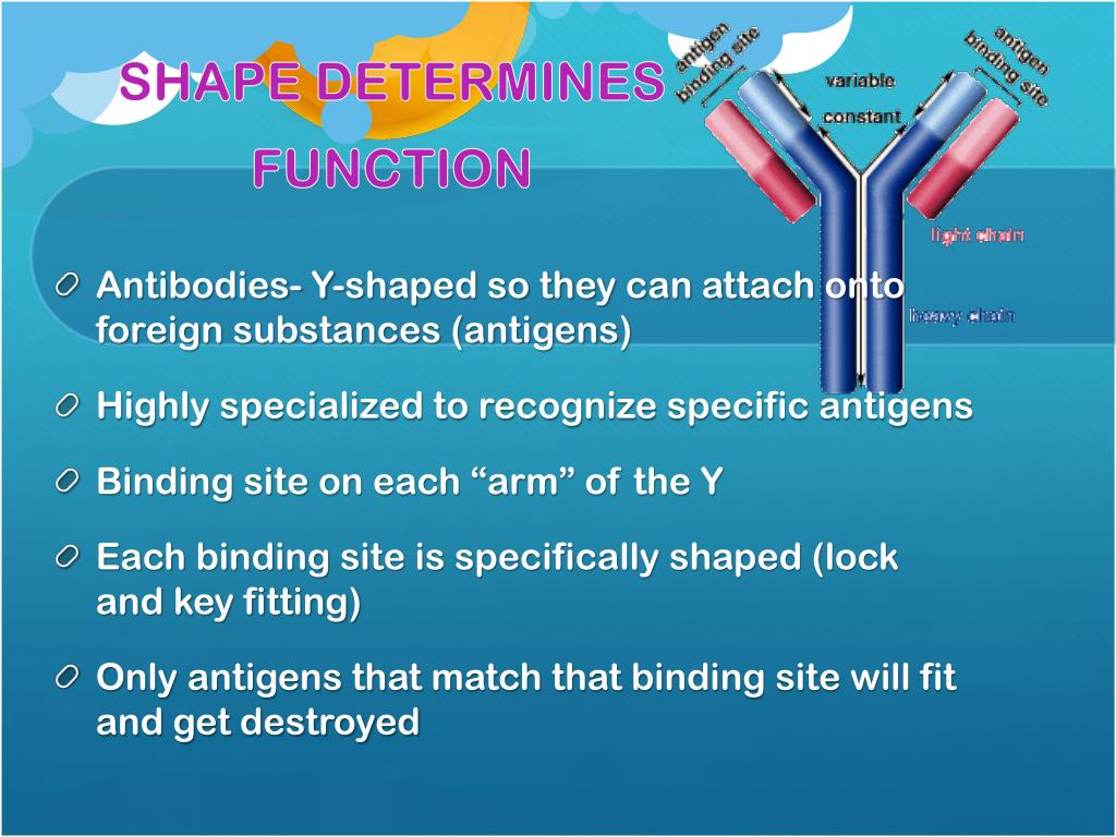 PPT Defensive Proteins PowerPoint Presentation ID1896002