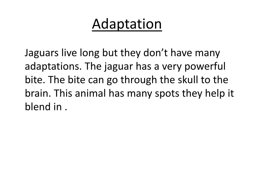 PPT Jaguar PowerPoint Presentation, free download ID1897189