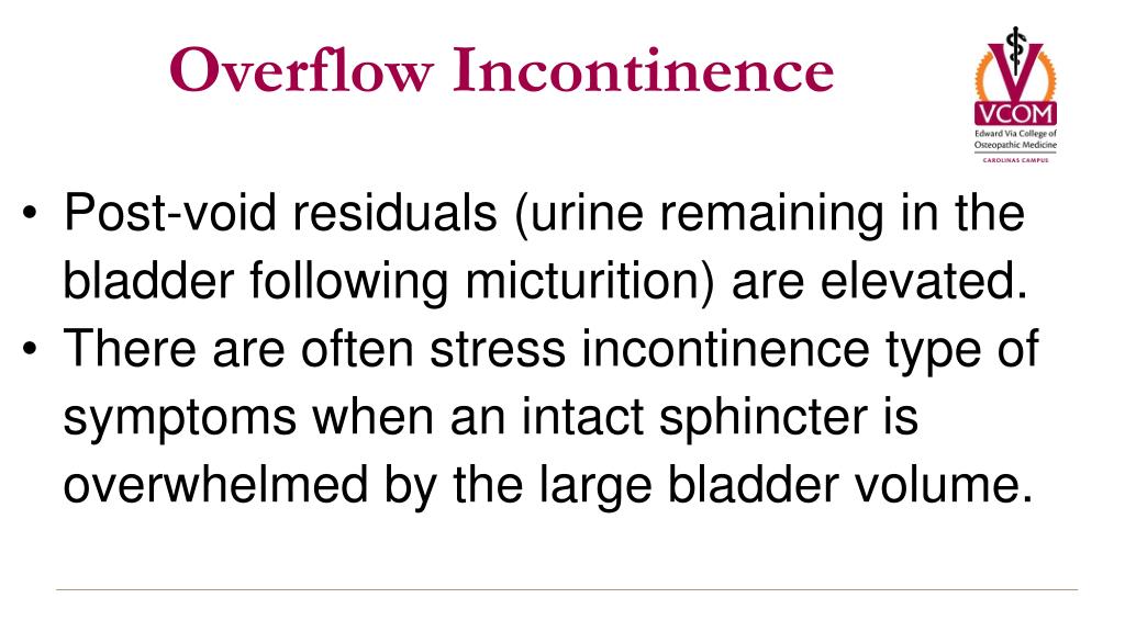 PPT Urinary Incontinence PowerPoint Presentation, free download ID