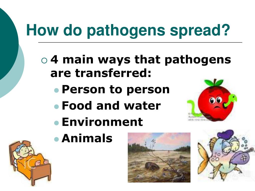 PPT Warmup PowerPoint Presentation, free download ID1898506