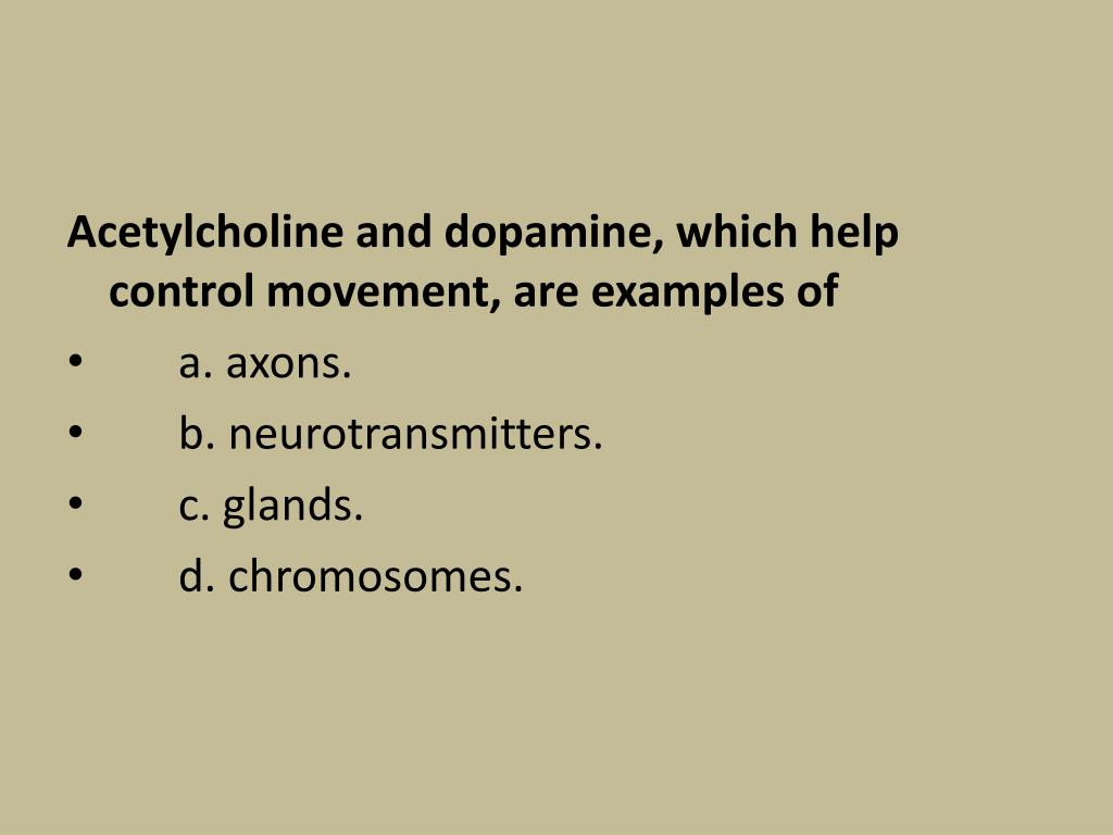 PPT Psychology Semester 1 Final Review PowerPoint Presentation, free