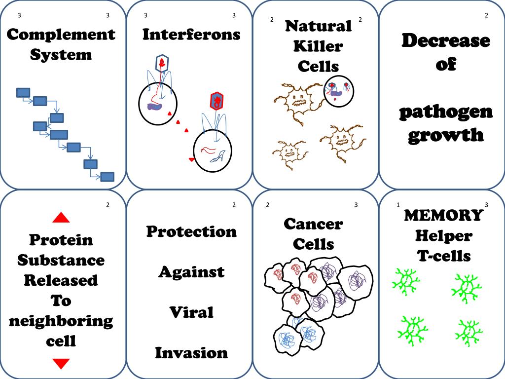PPT Mast cells release histamine PowerPoint Presentation, free