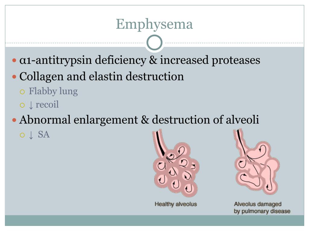 PPT Chronic Obstructive Pulmonary Disease (COPD) PowerPoint