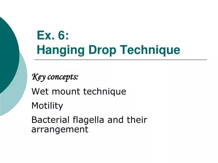 PPT Ex. 6 Hanging Drop Technique PowerPoint