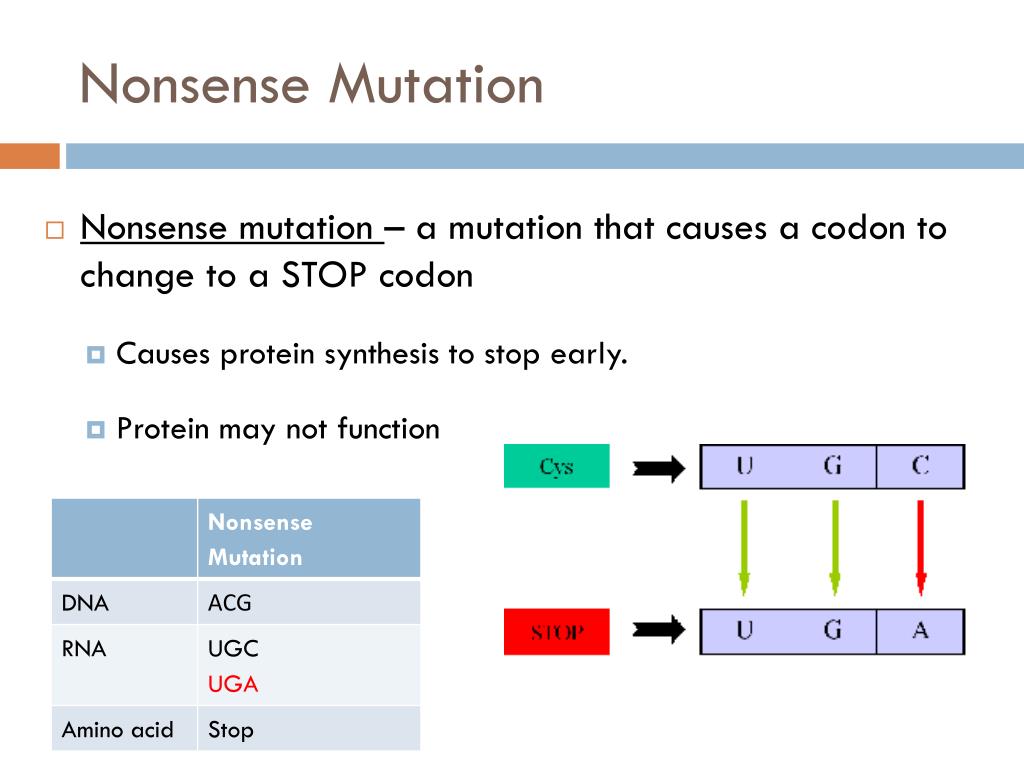 PPT Chapter 14 Section 1 PowerPoint Presentation, free download ID