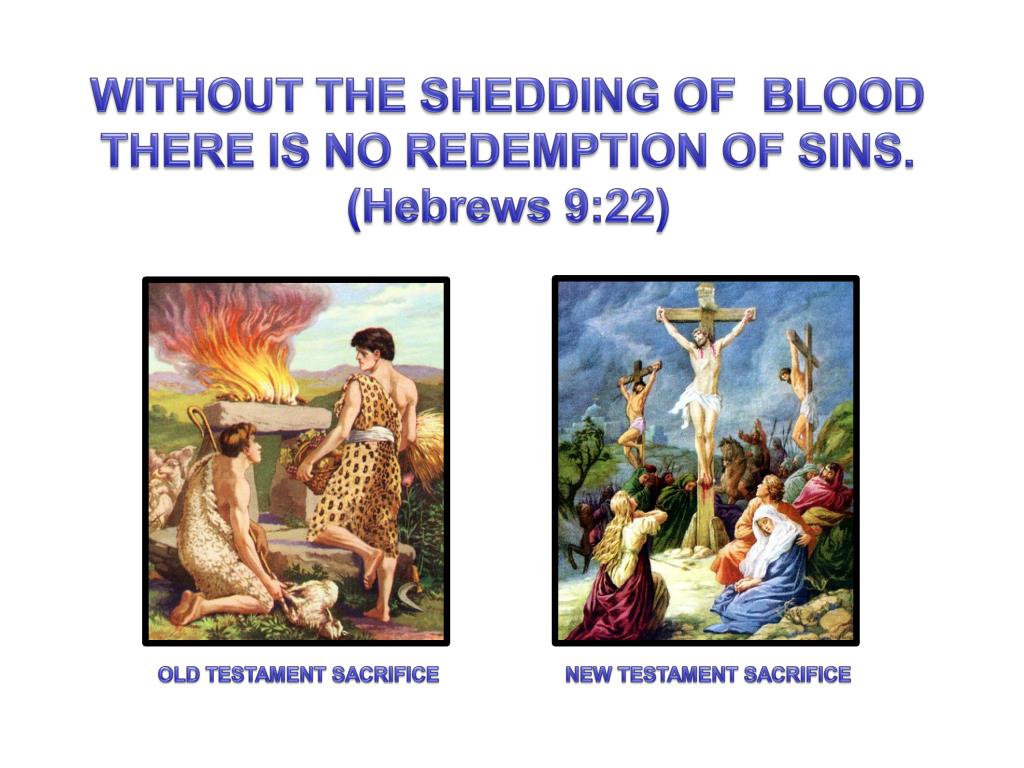 PPT OLD TESTAMENT SURVEY PowerPoint Presentation, free download ID