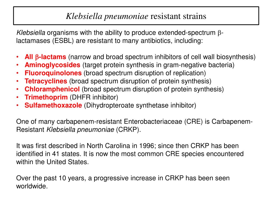 PPT Evolution of Klebsiella pneumoniae PowerPoint Presentation, free