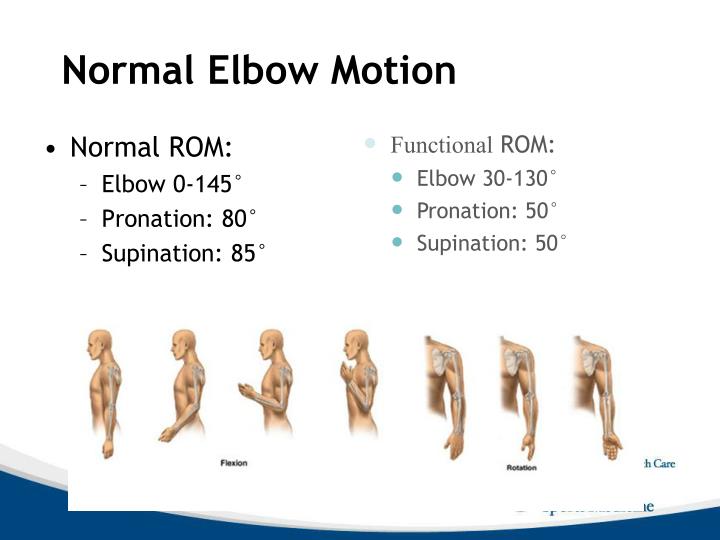 PPT Elbow Anatomy and Biomechanics PowerPoint Presentation ID1901547