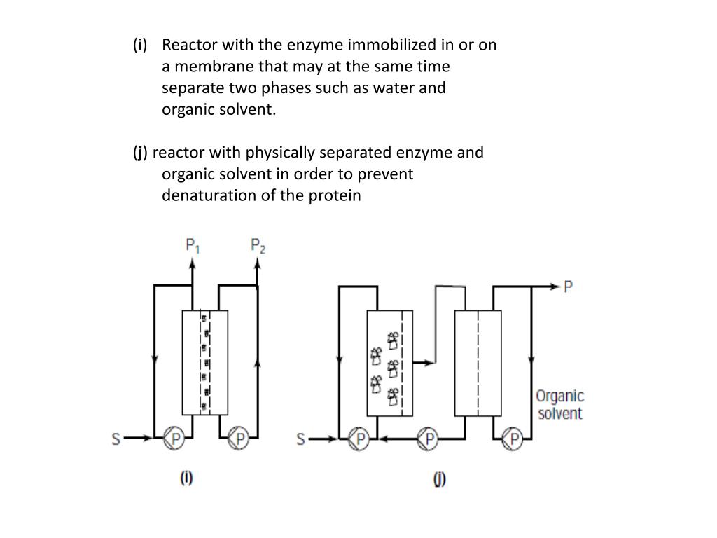 PPT Immobilized Enzymes Reactors PowerPoint Presentation, free