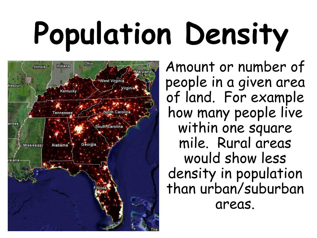 PPT 6 th Grade Social Studies PowerPoint Presentation, free download