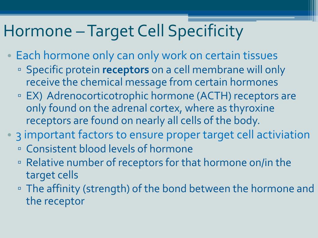 PPT The Endocrine System PowerPoint Presentation, free download ID