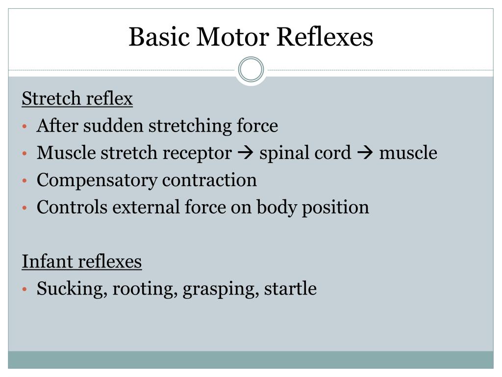 PPT Movement & the Motor System Jun 13, 2014 PowerPoint Presentation